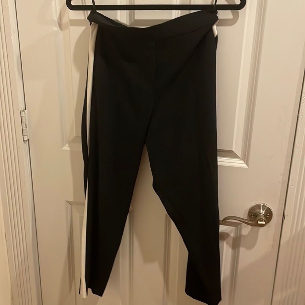 Aritzia joggers